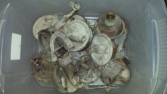 20150227_145119